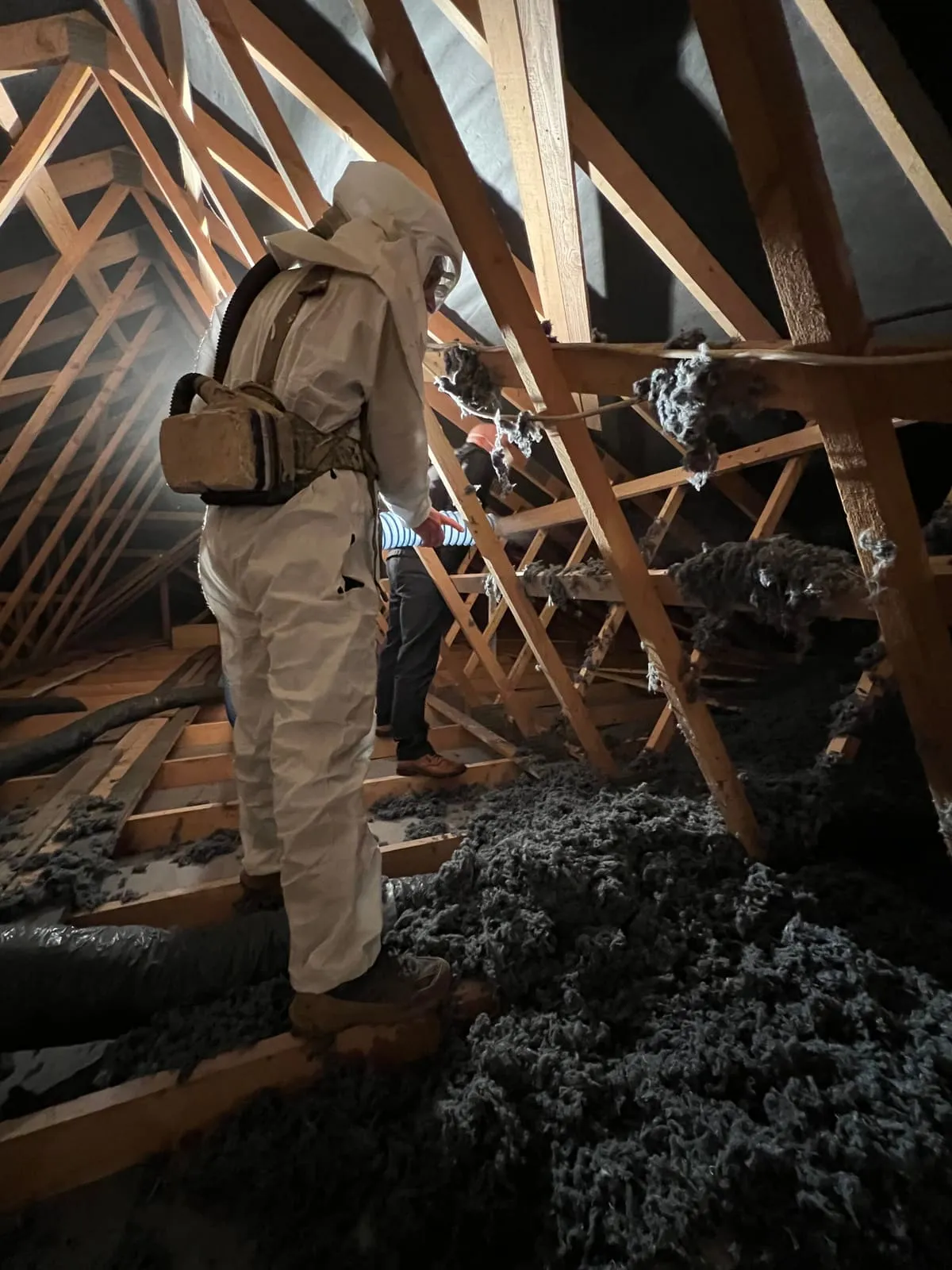 Renaud Racenet en cours de répartition de laine de coton dans les combles avec la Twister 3 · Saint-Barthélemy · Isolatech